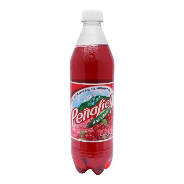 REFRESCO MINERAL PEÑAFIEL ARANDANO 600ml