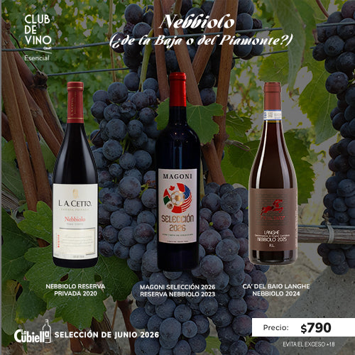 CLUB DE VINO ESENCIAL JUNIO 2026