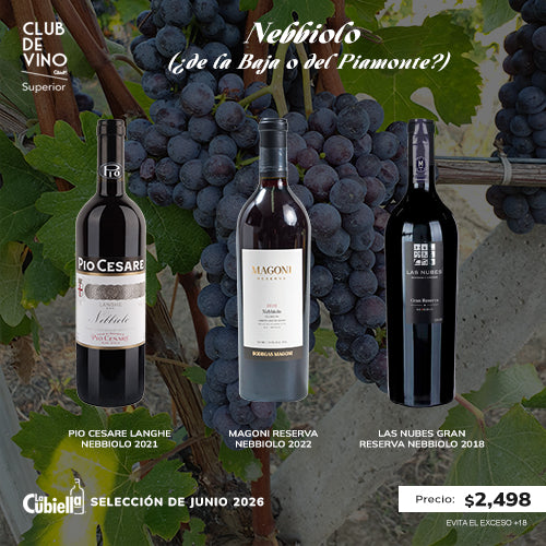 CLUB DE VINO SUPERIOR JUNIO 2026