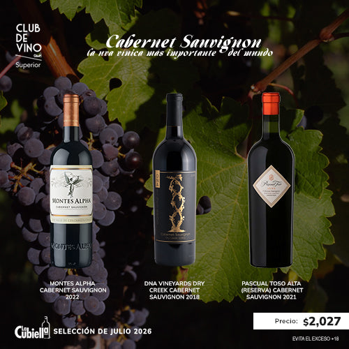 CLUB DE VINO SUPERIOR JULIO 2026