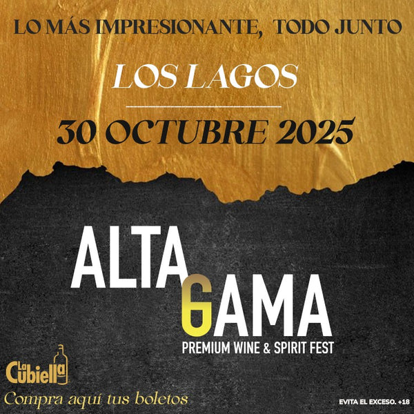 BOLETO ALTA GAMA FEST 2025