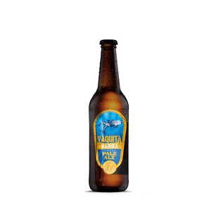 VAQUITA MARINA WENDLANDT BEER